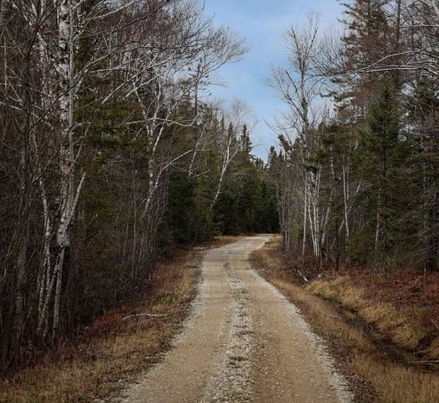 7 MustSee Hiking Trails Near St. Ignace, MI