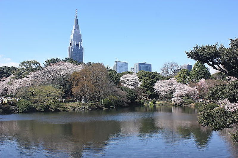 一個人春天去日本賞櫻遊回憶錄