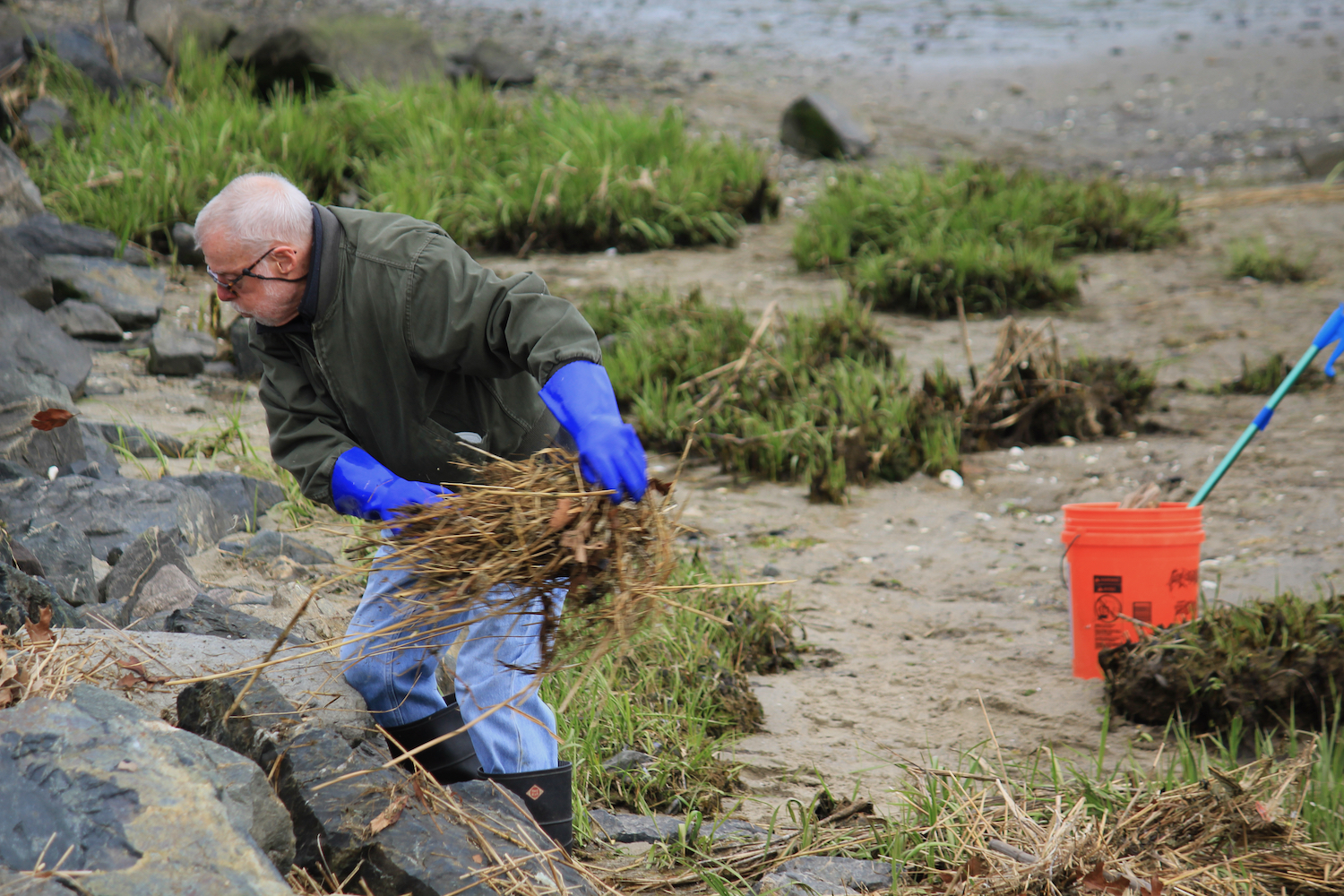 The 2023 Earth Day Salt Marsh and Park Clean Up! Edgewood Waterfront