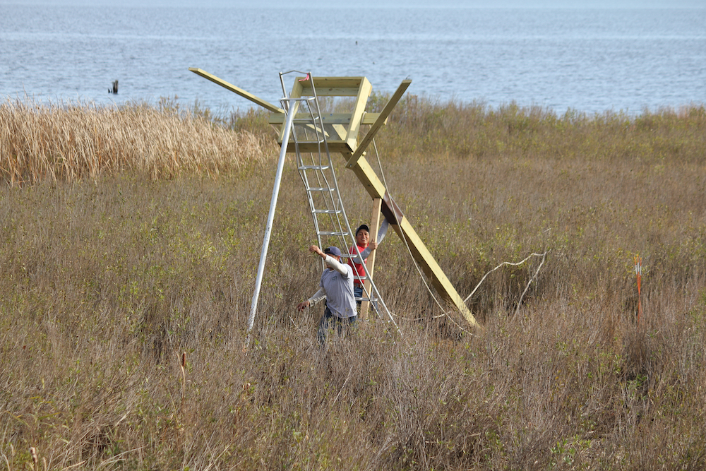 OUR NEW OSPREY AIRBnB Edgewood Waterfront Preservation Association