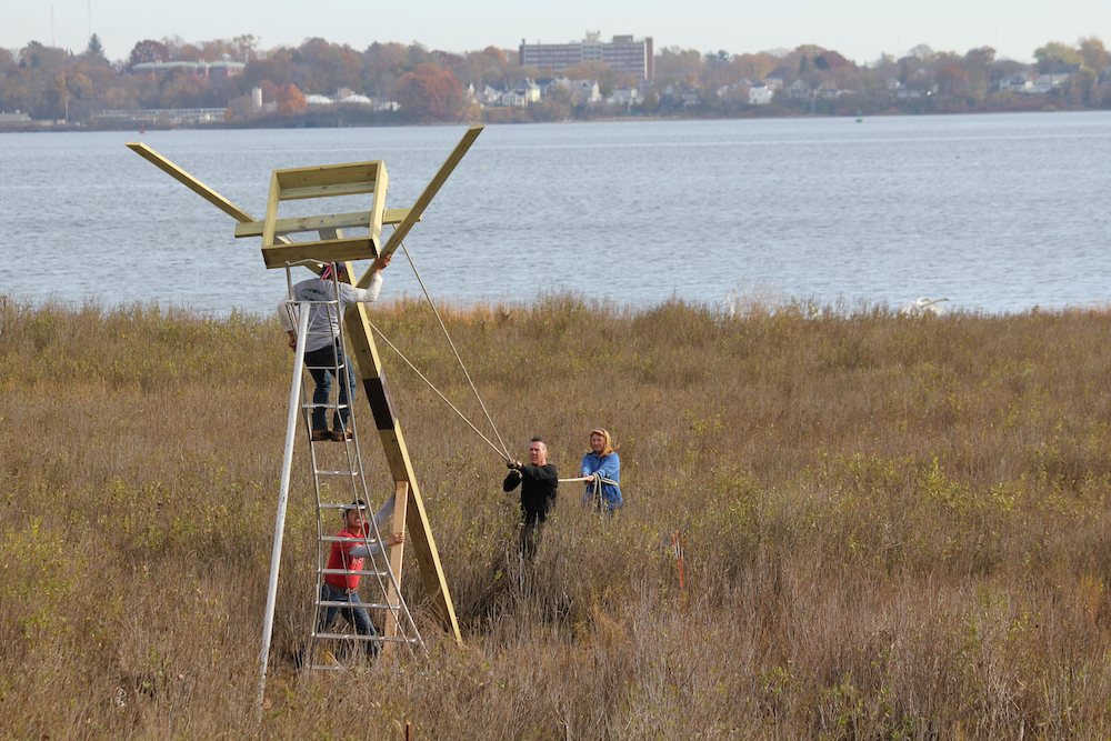 OUR NEW OSPREY AIRBnB Edgewood Waterfront Preservation Association