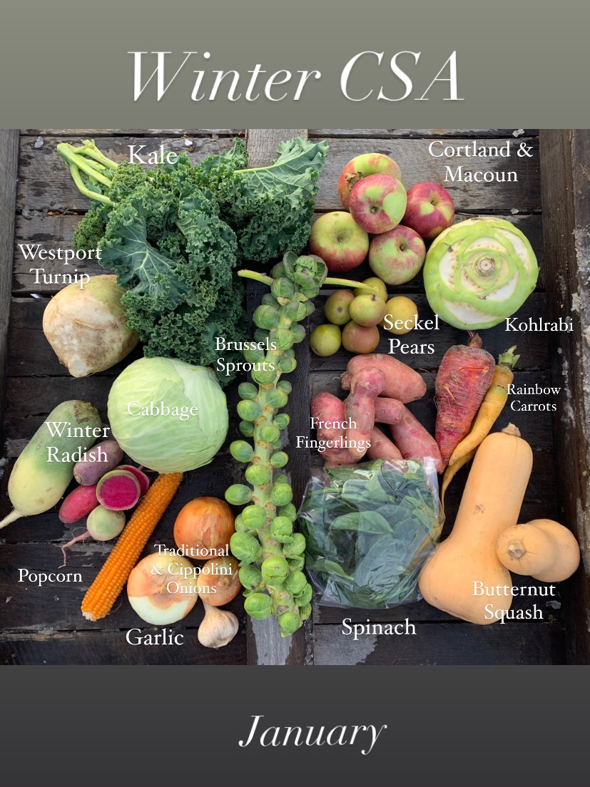 Winter CSA 202122 January News stilllifefarm