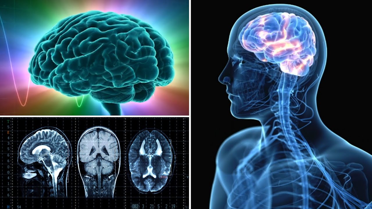 Change Your Brain Waves Powerful Way to Transform Your Reality (Video