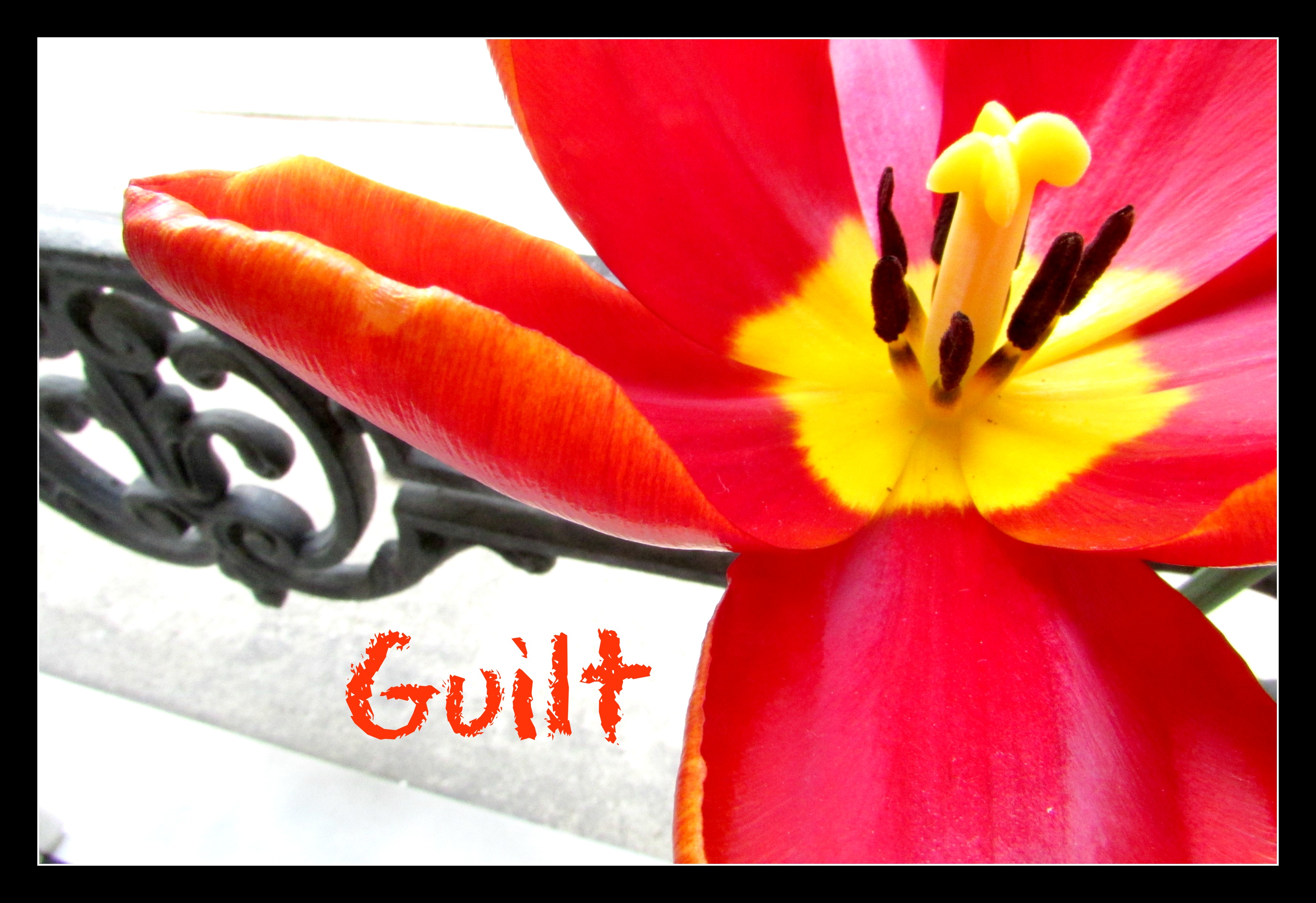 A Conversation on Grief and Mommy Guilt Still Standing