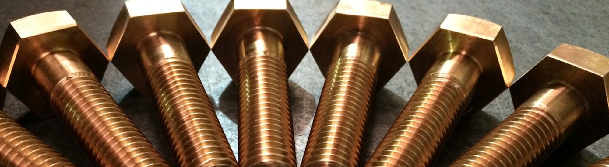 Phosphor Bronze Bolts and Nuts Alloy 510/ C51900 Fasteners supplier