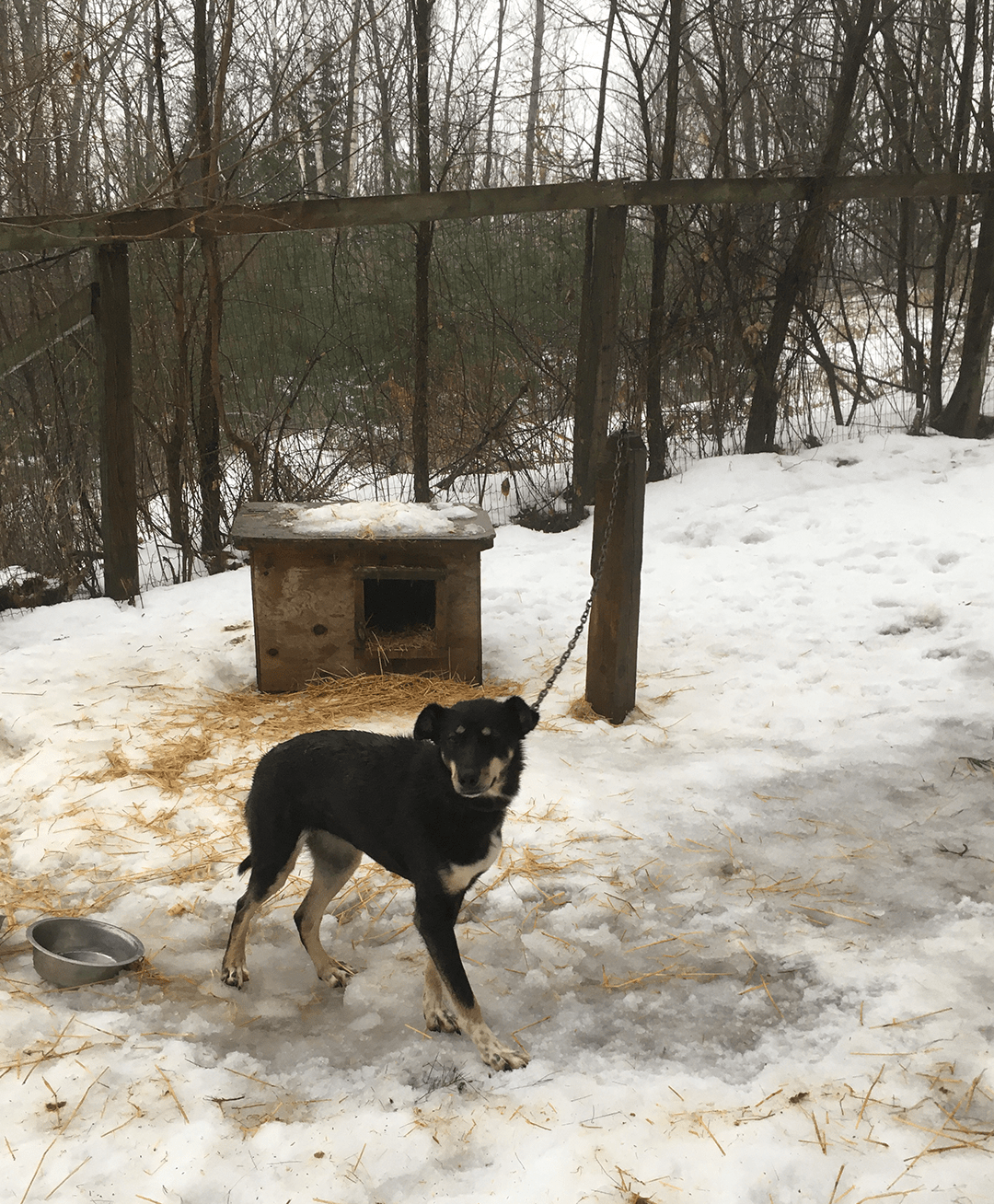 Geronimo StinkyPup Kennel