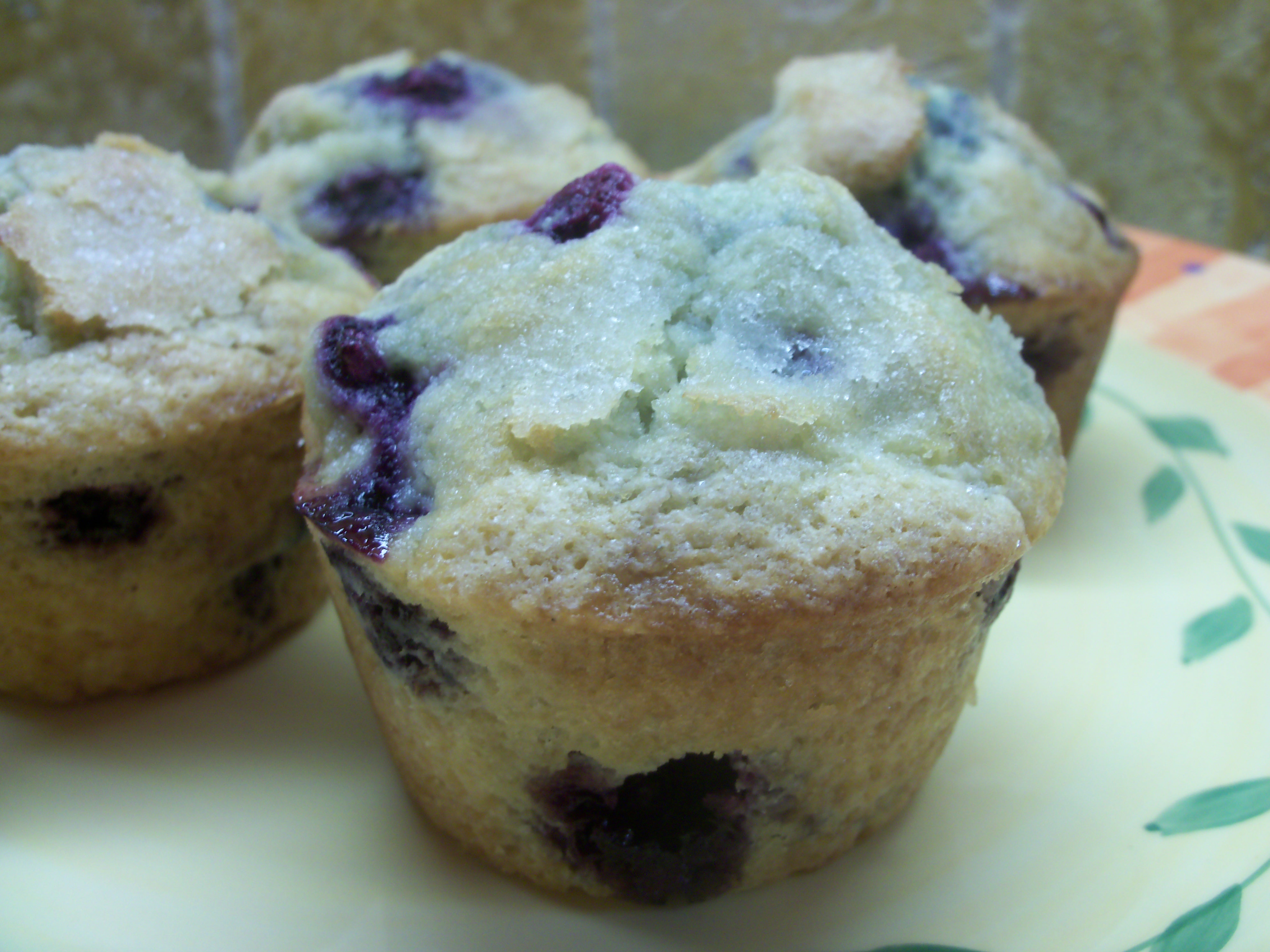Buttermilk Blueberry Muffins