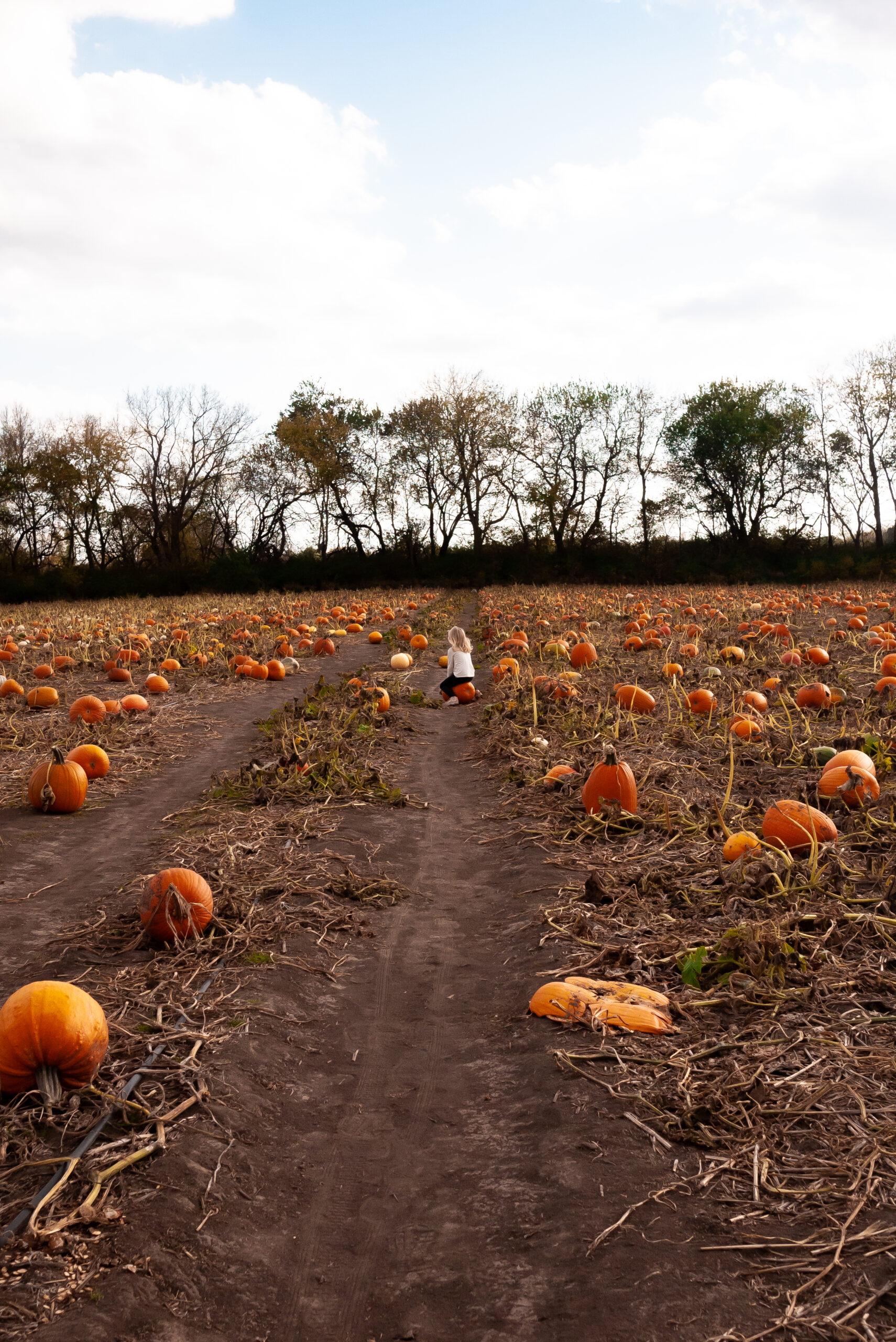 a little girl sitting on a pumpkin in a pumpkin patch