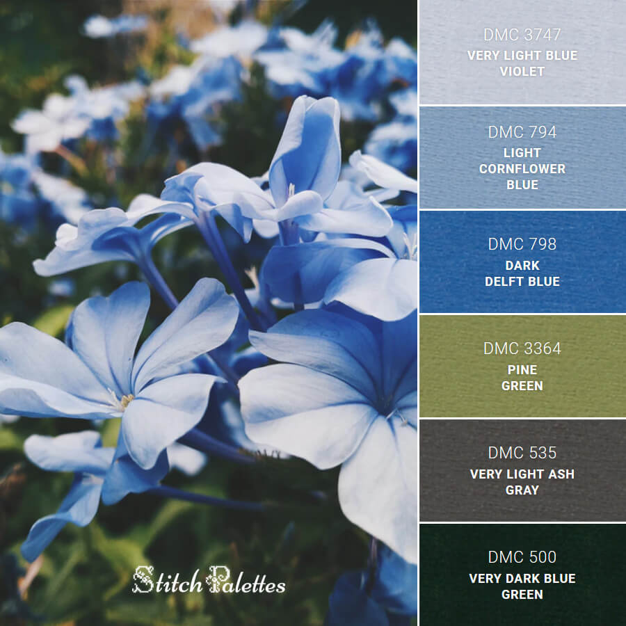 Cornflower Blue Color Palette