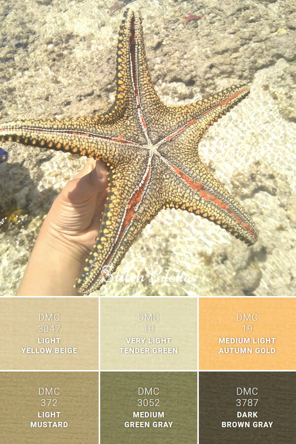 Starfish Splendor Embroidery Color Palette (With Thread Codes)