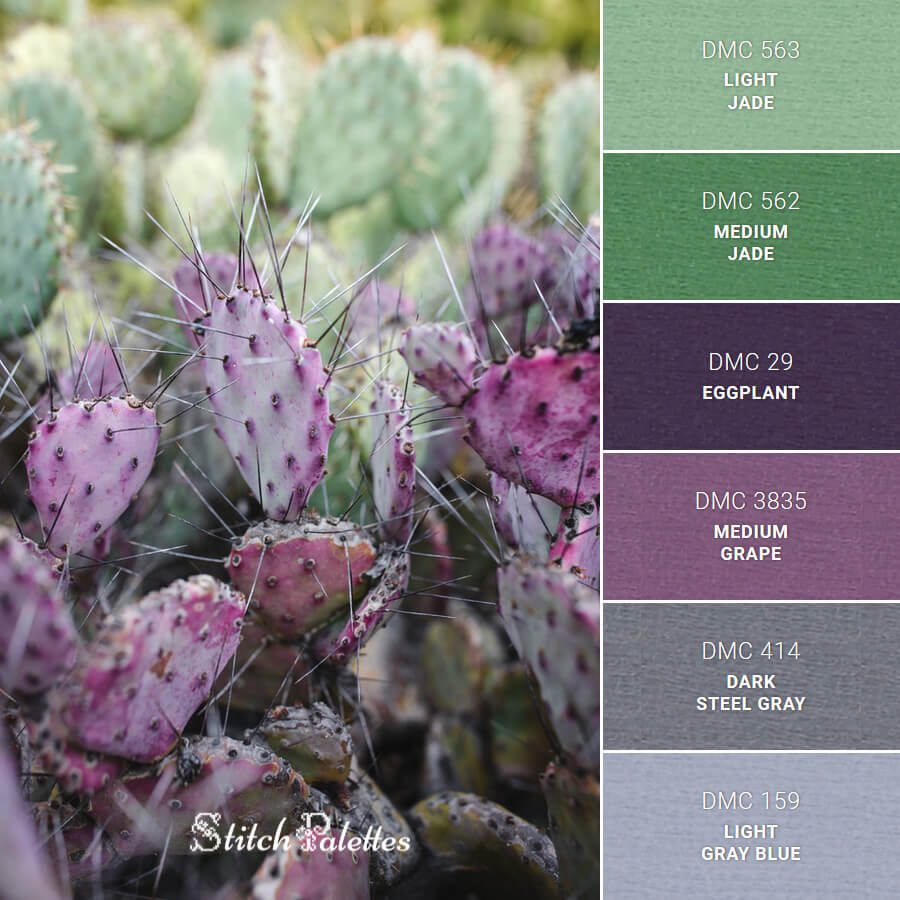 Cactus Color Palette