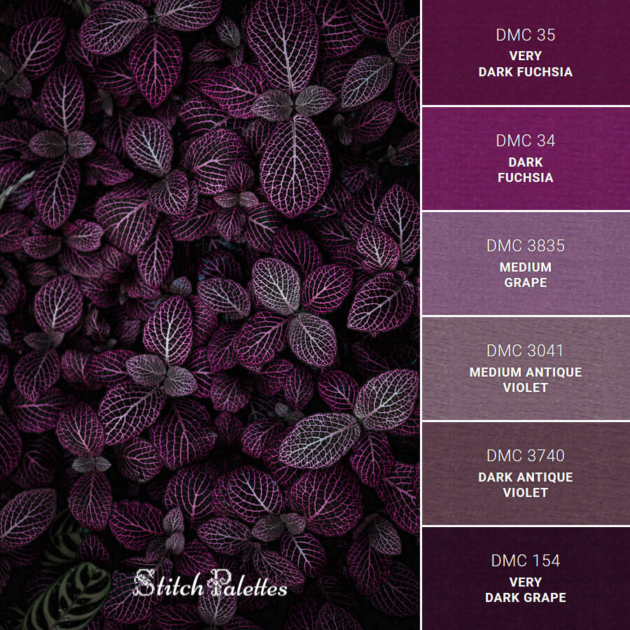Dark Fuchsia Color