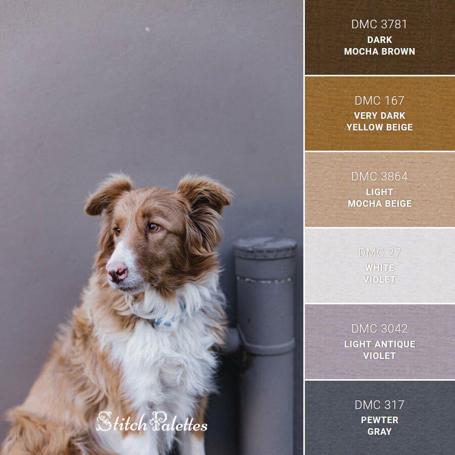 Friendly Brown Dog Embroidery Color Palette (With Thread Codes)