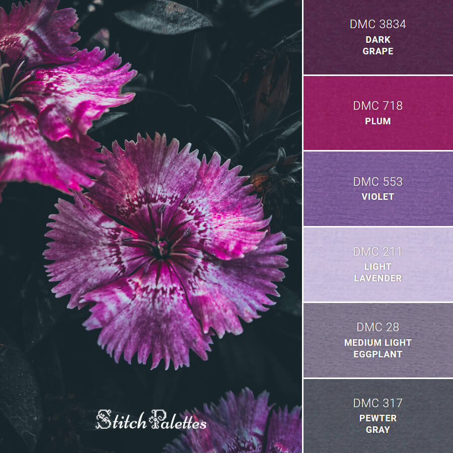 Dark Purple Colored Flowers