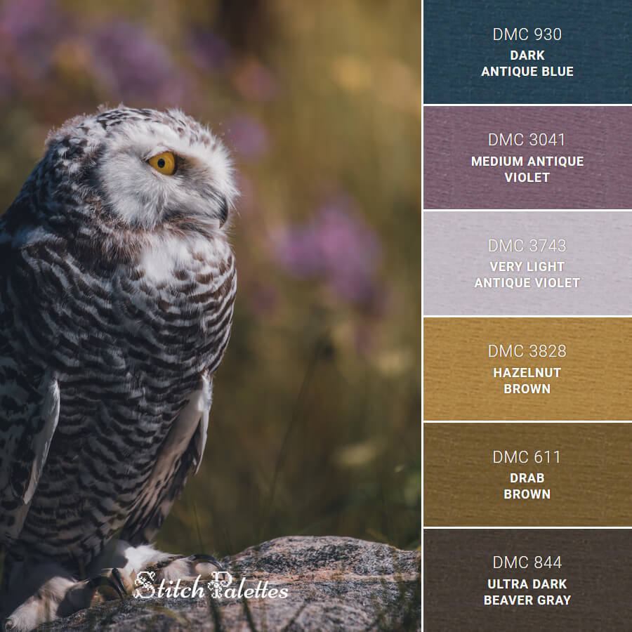 Snowy Owl Embroidery Color Palette (With Thread Codes)