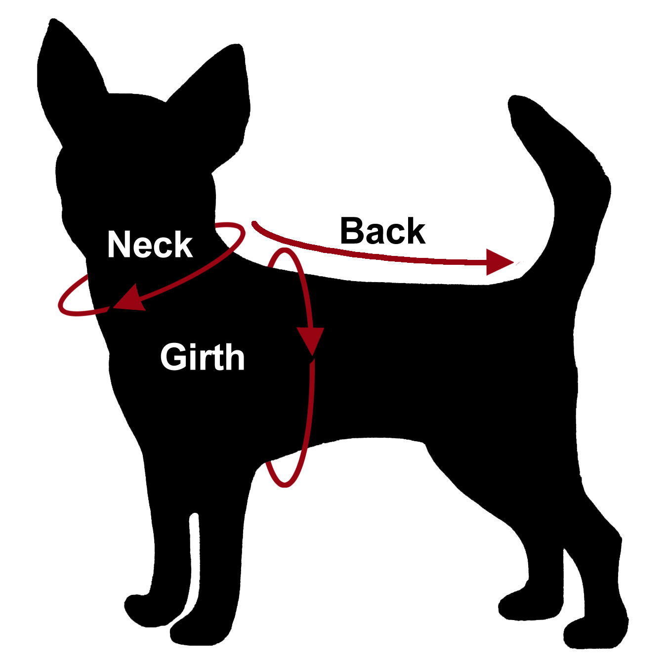 How To Measure Your Dog For Dog Clothes Stitchwerx Designs