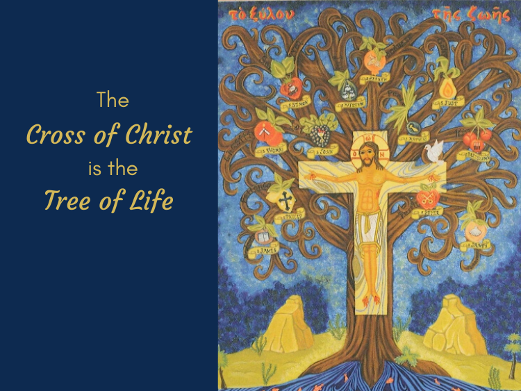 The Cross of Christ is the Tree of Life (Sermon from 2009) St. James
