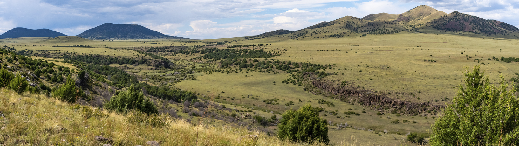 Trophy Hunting & Fishing Properties St James Sporting Properties