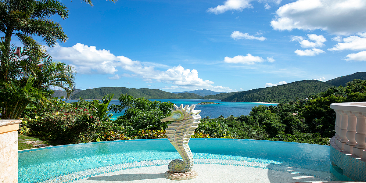 Savvy Links St John Savvy