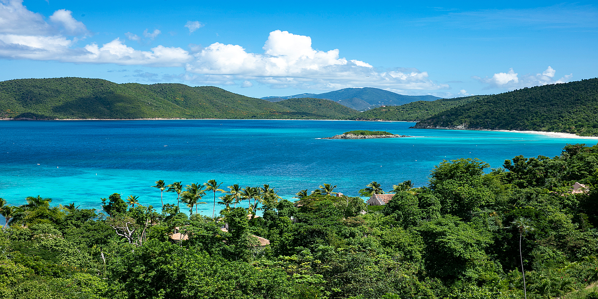 Savvy Links St John Savvy