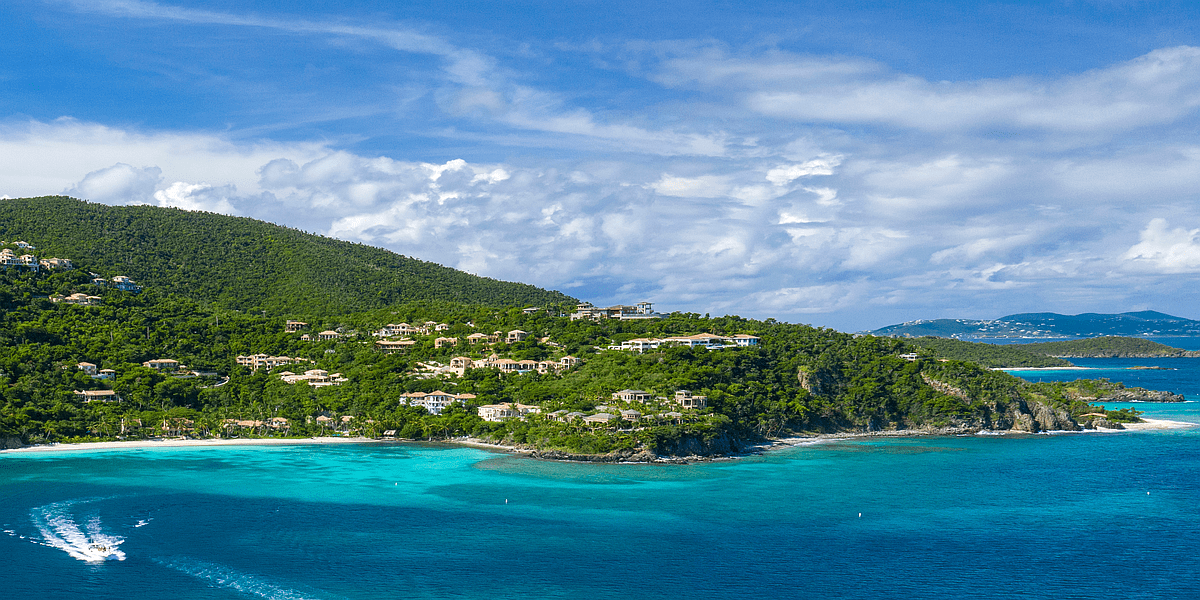 Savvy Links St John Savvy