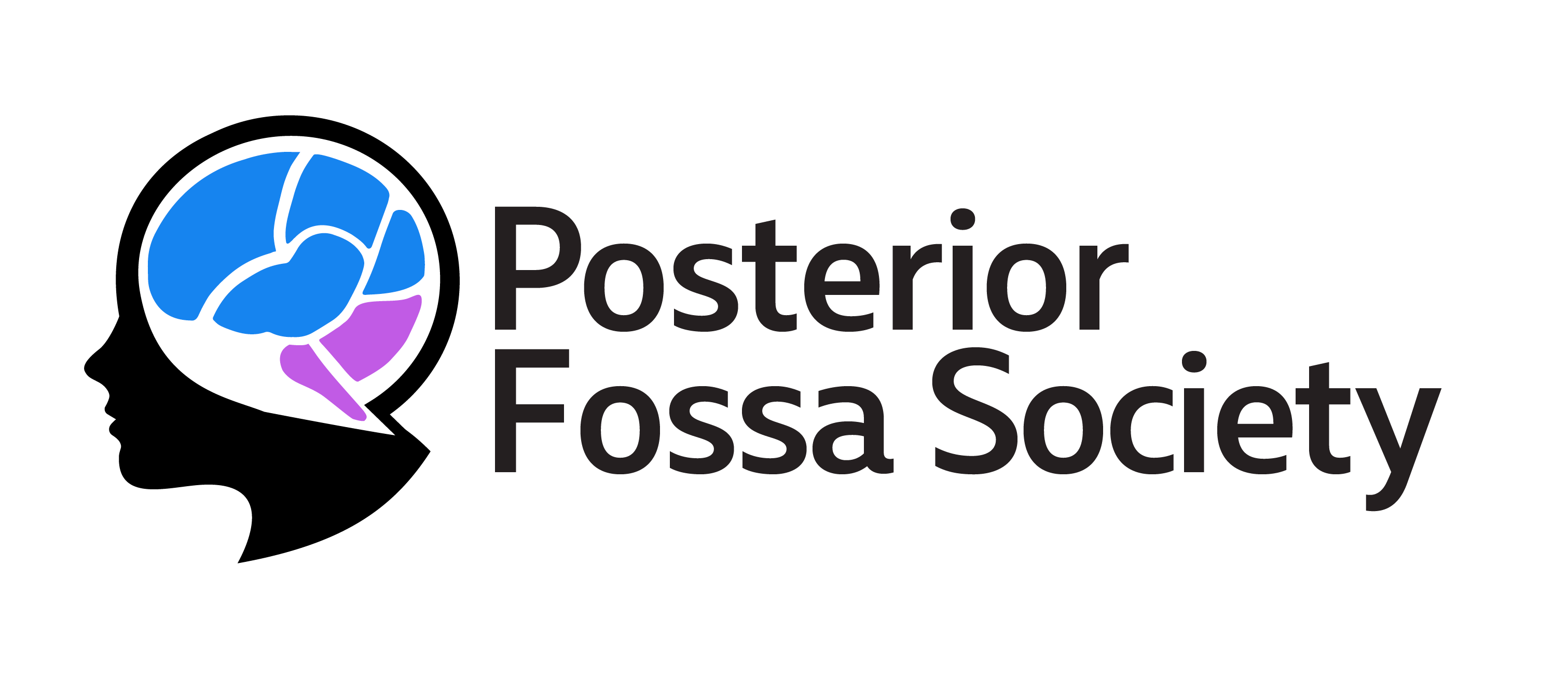 Second Global Meeting of the Posterior Fossa Society St Jude Children