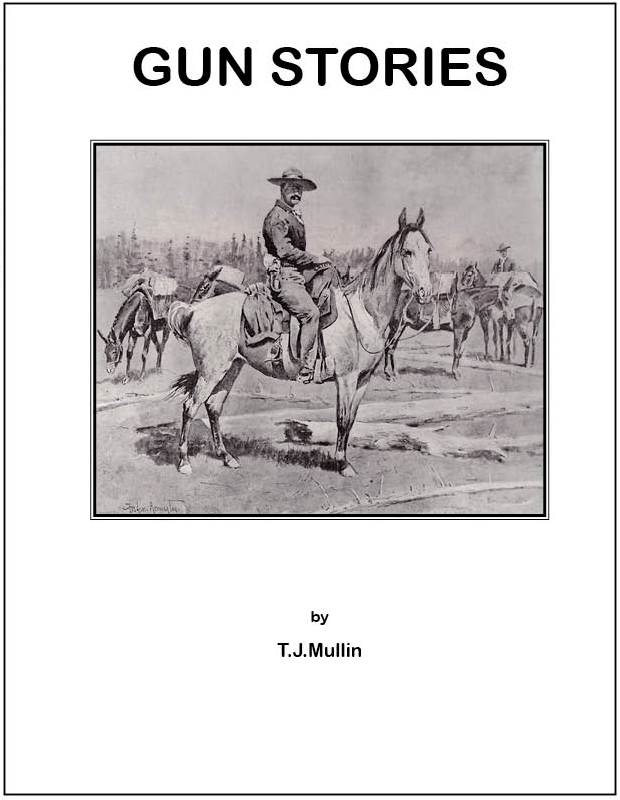 Gun Stories STLCCW/Accurate Press