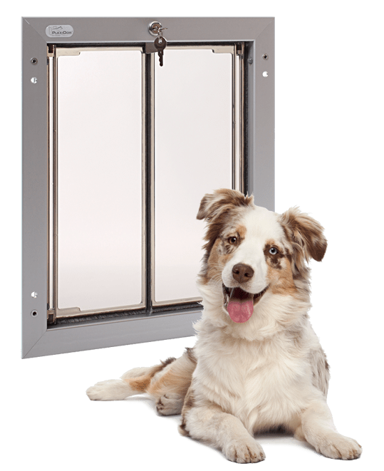 Dog Doors for Puppies or Dogs in St. Louis • St. Louis Dog Fence