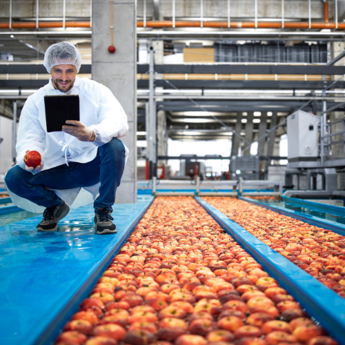 Food Processing Plants STL Pest Control