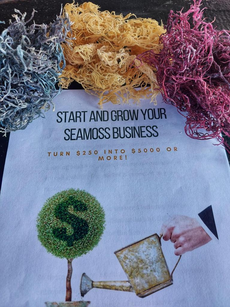 Sea Moss Business Starter Pack St.Lucia Premium Sea Moss