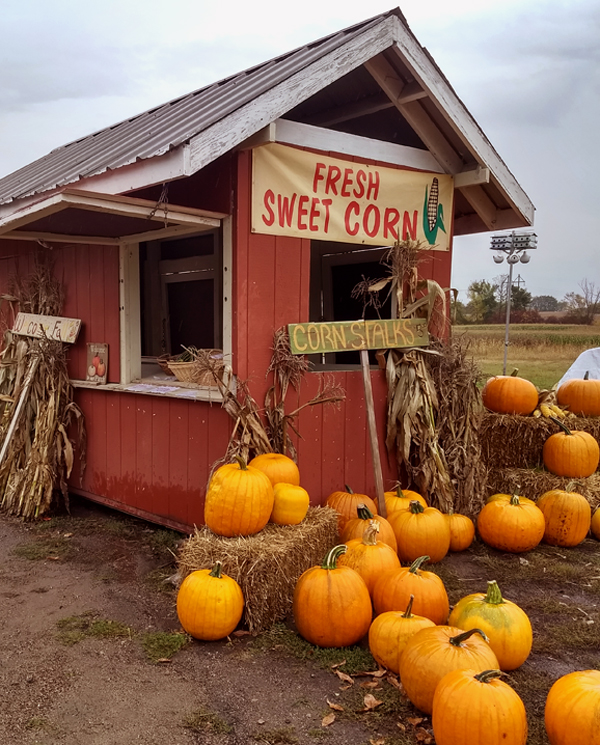 Sara Mosher of Mosher Farm & Gardens
