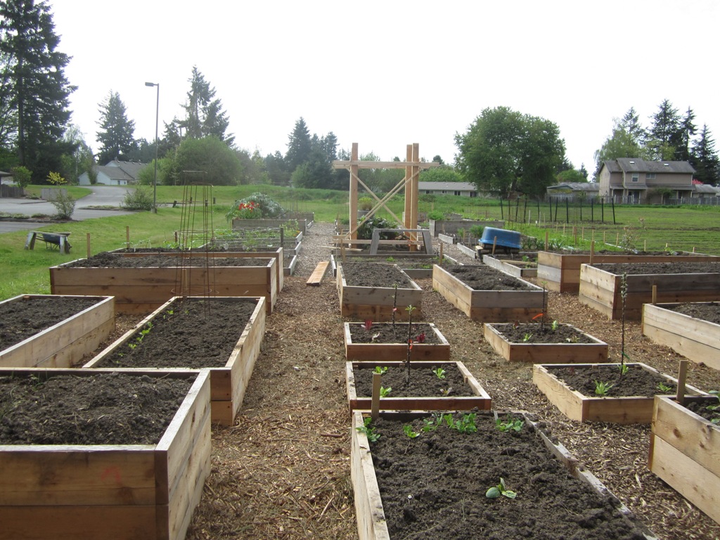 Community Garden News the new raised beds are 'raised'! > St. Mark