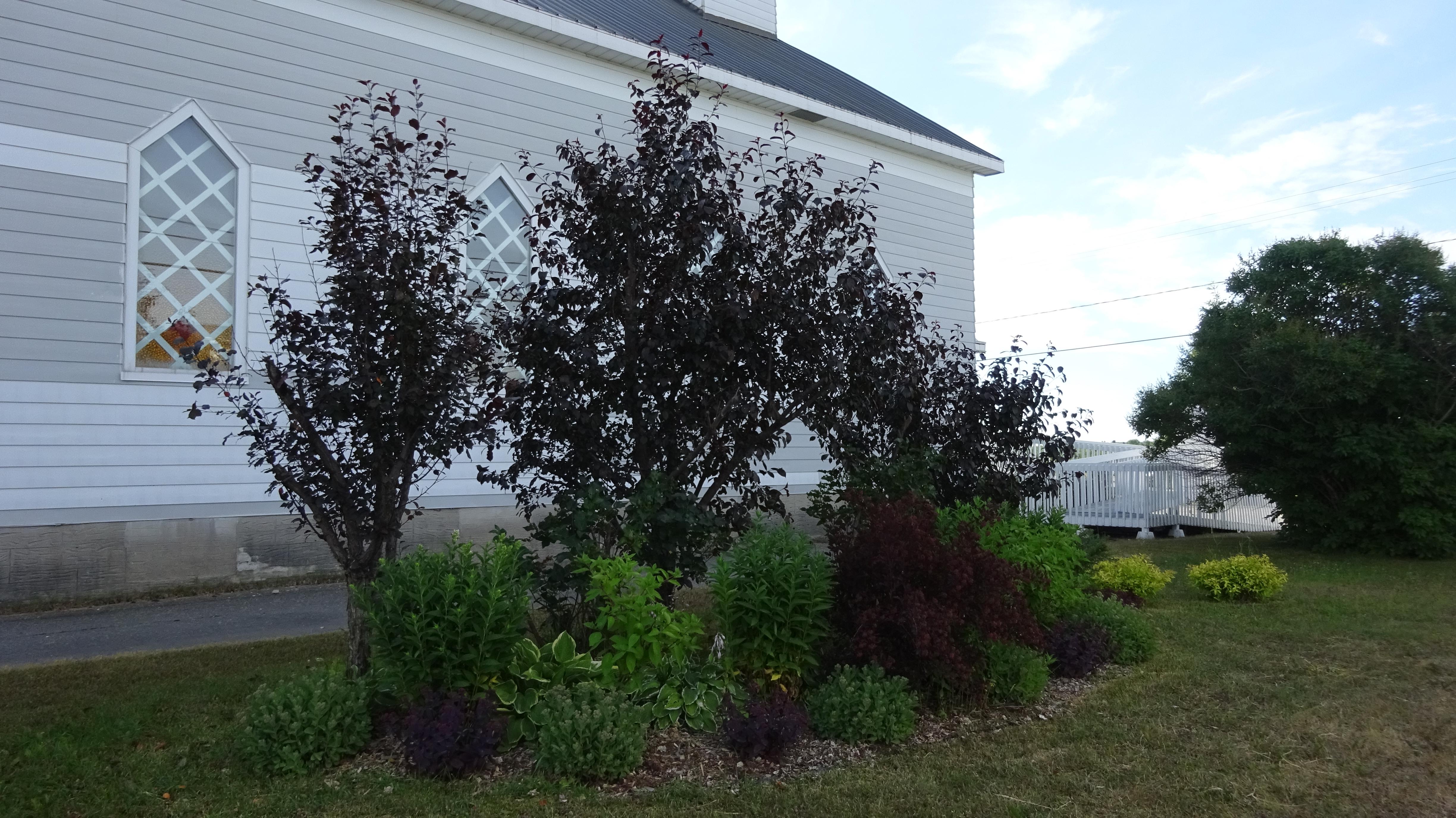 Comité d'une nouvelle utilisation de l'église Comités et clubs