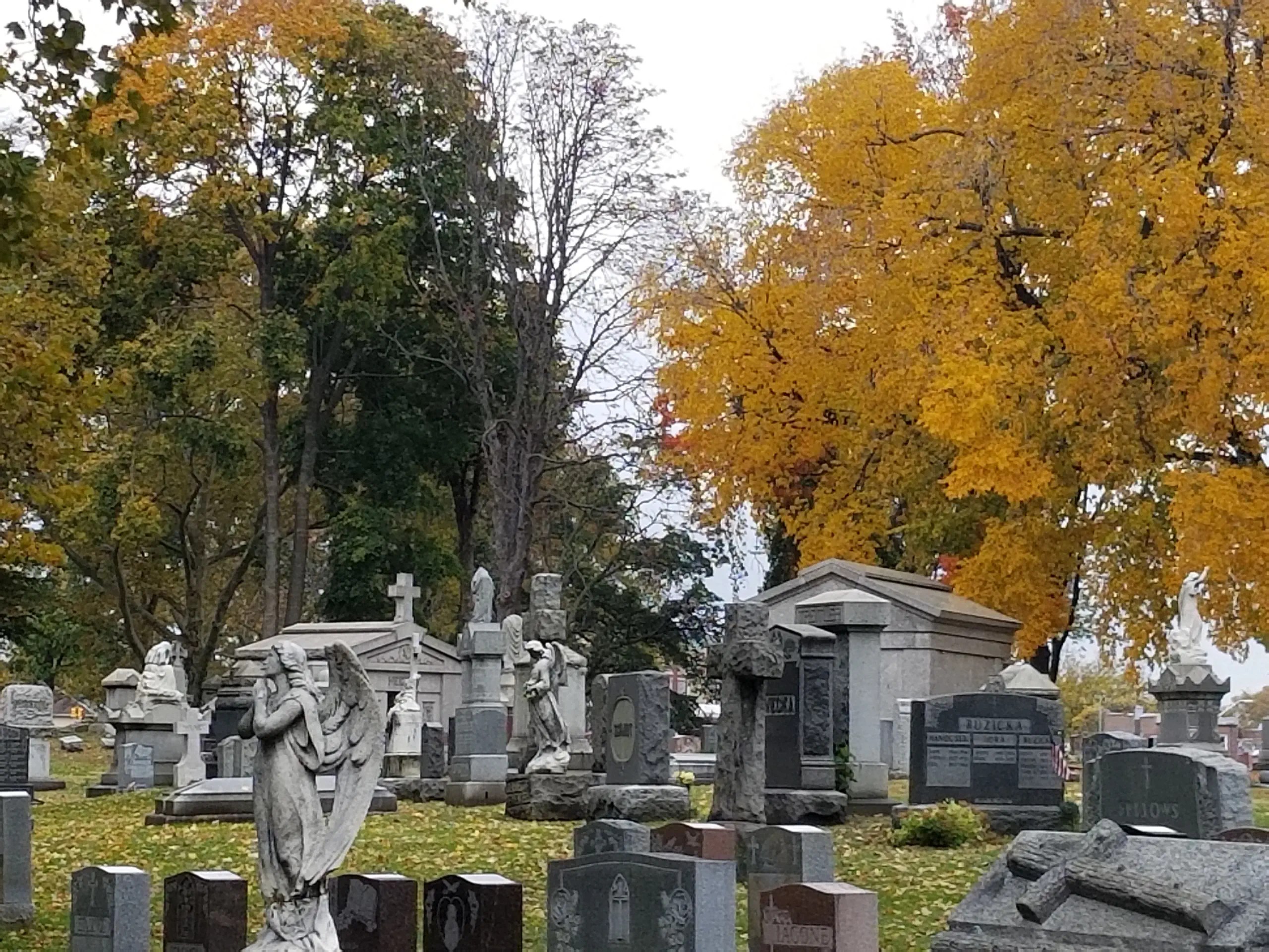 Rules & Regulations St. Michael's Cemetery