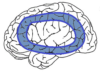 失語症のタイプと損傷部位（ブローカ、ウェルニッケ） | Stナビ 失語症のタイプと損傷部位（ブローカ、ウェルニッケ） | Stナビ
