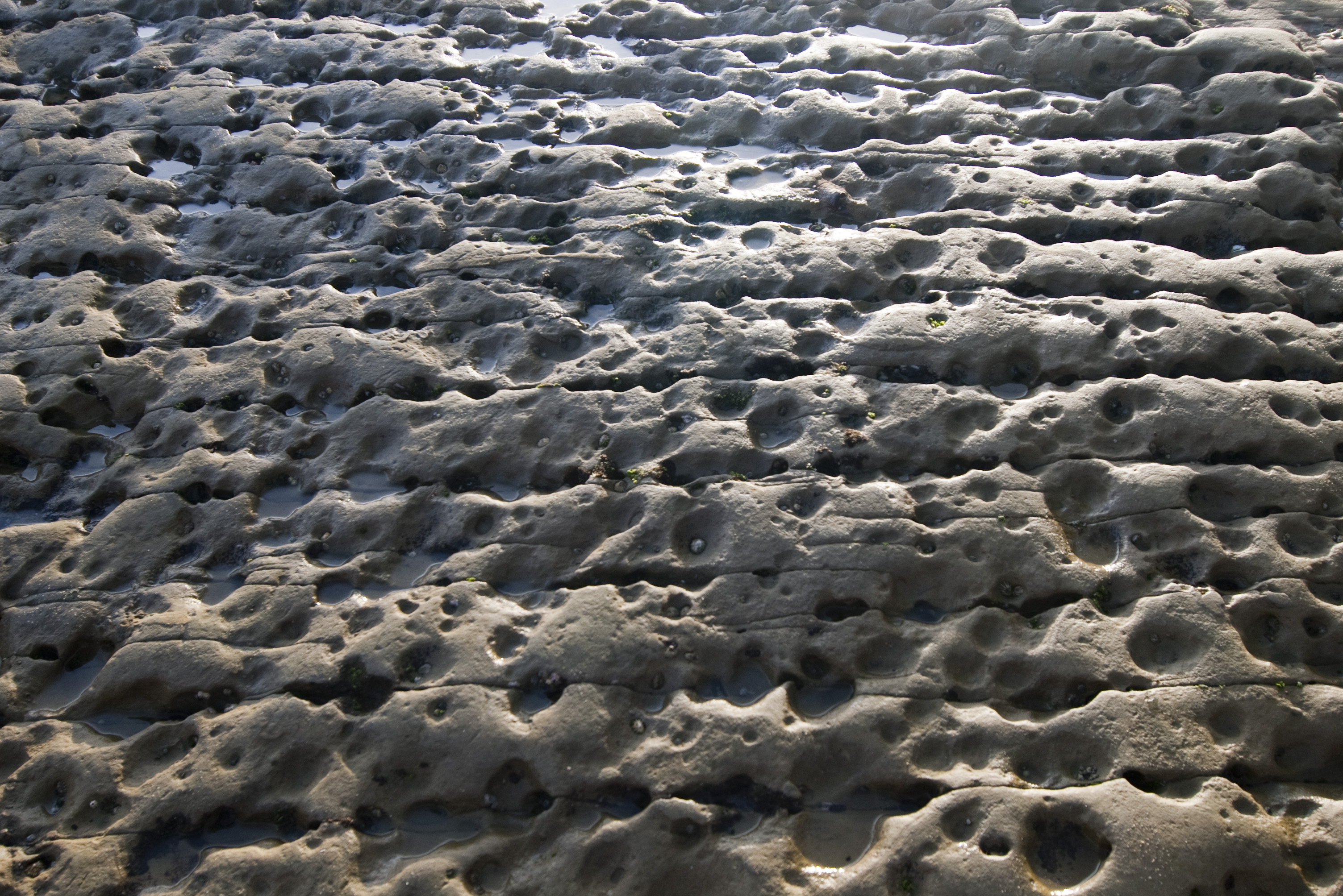 eroded rock texture2634 Stockarch Free Stock Photo Archive