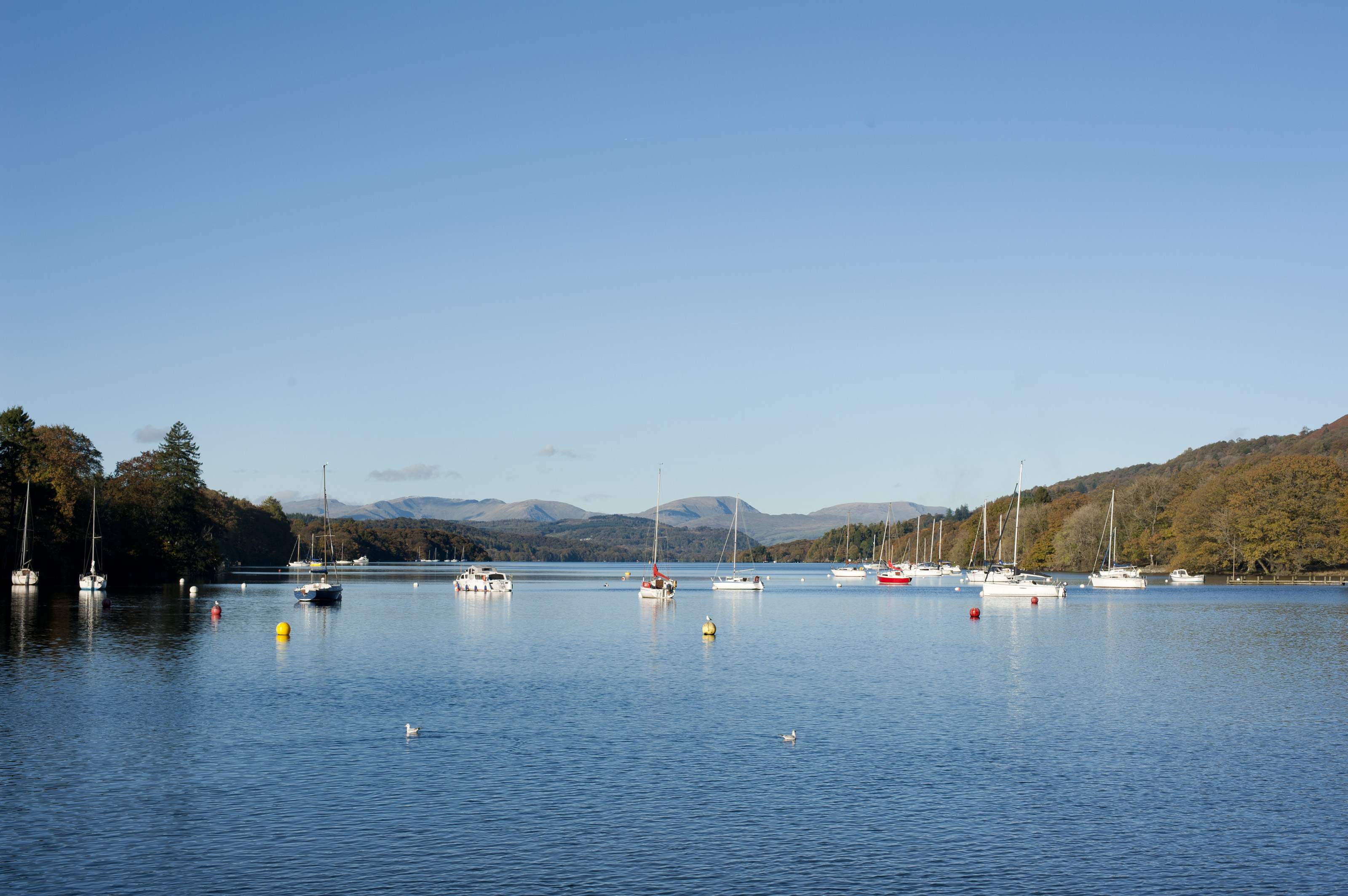 Scenic view over Windermere Lake in Cumbria8462 Stockarch Free Stock
