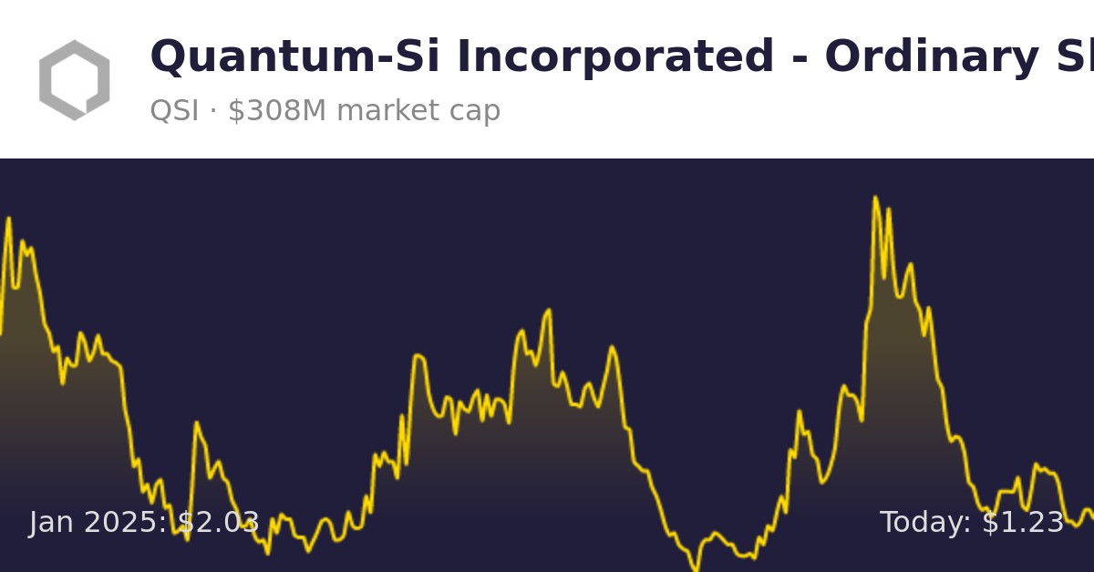 QuantumSi Incorporated (QSI) Finance information