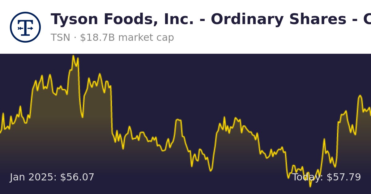 Tyson Foods (TSN) Finance information