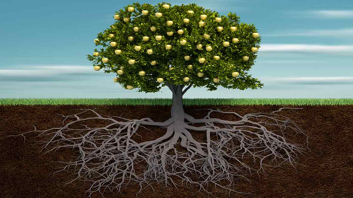 Gold It DOES grow on trees, and this company is hitting paydirt by