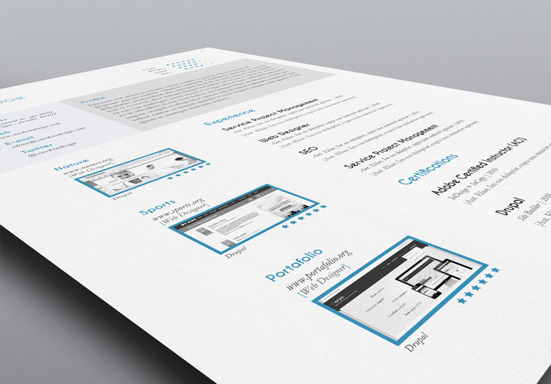FREE 5 Resume InDesign Templates StockInDesign