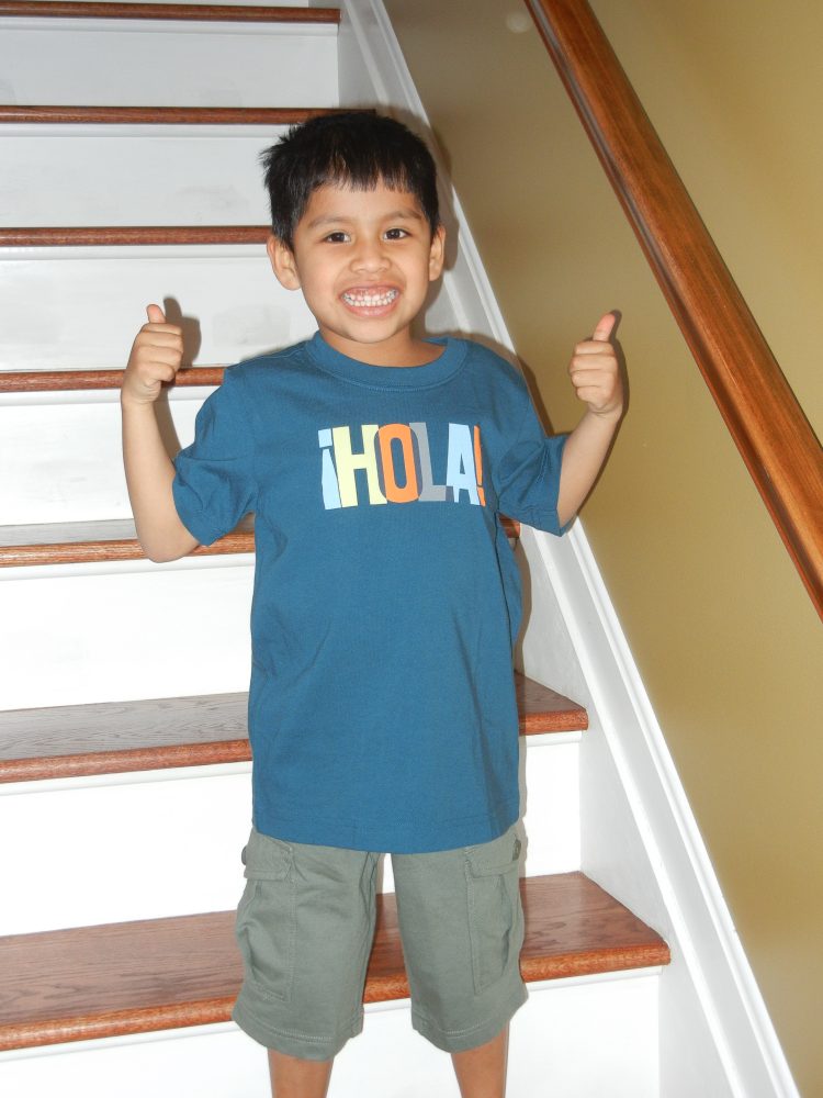 Tea Collection Review STOCKPILING MOMS™