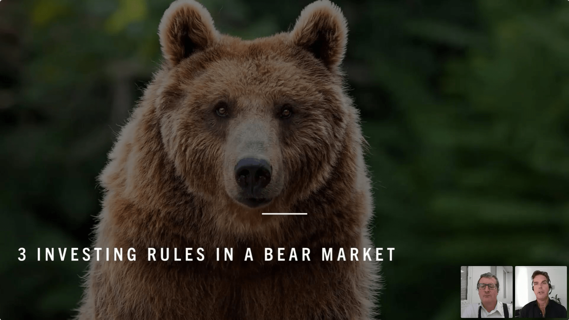 How to navigate the 2022 Bear Market