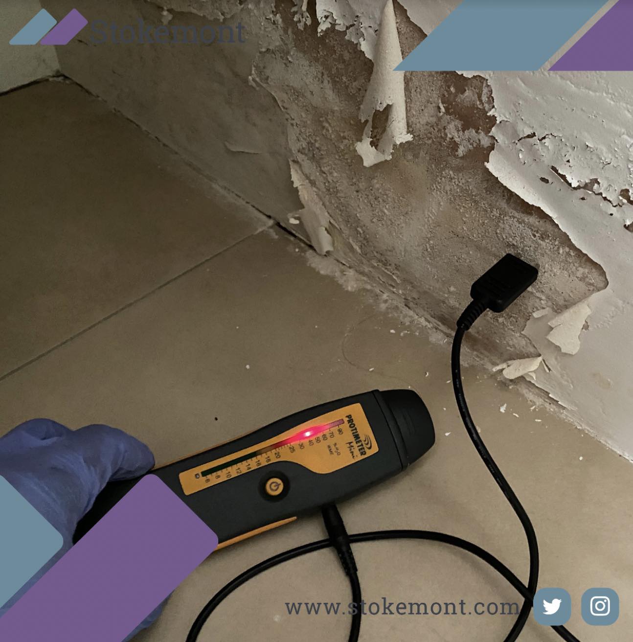 What is a Structural Survey? Stokemont