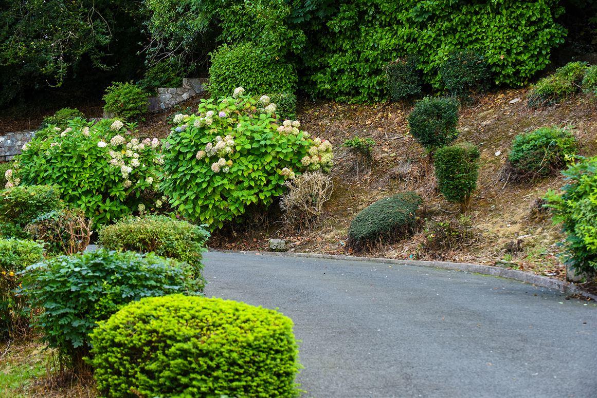 Anglesea House, Lower Kensington, Coach Hill, Cork, Rochestown, Co