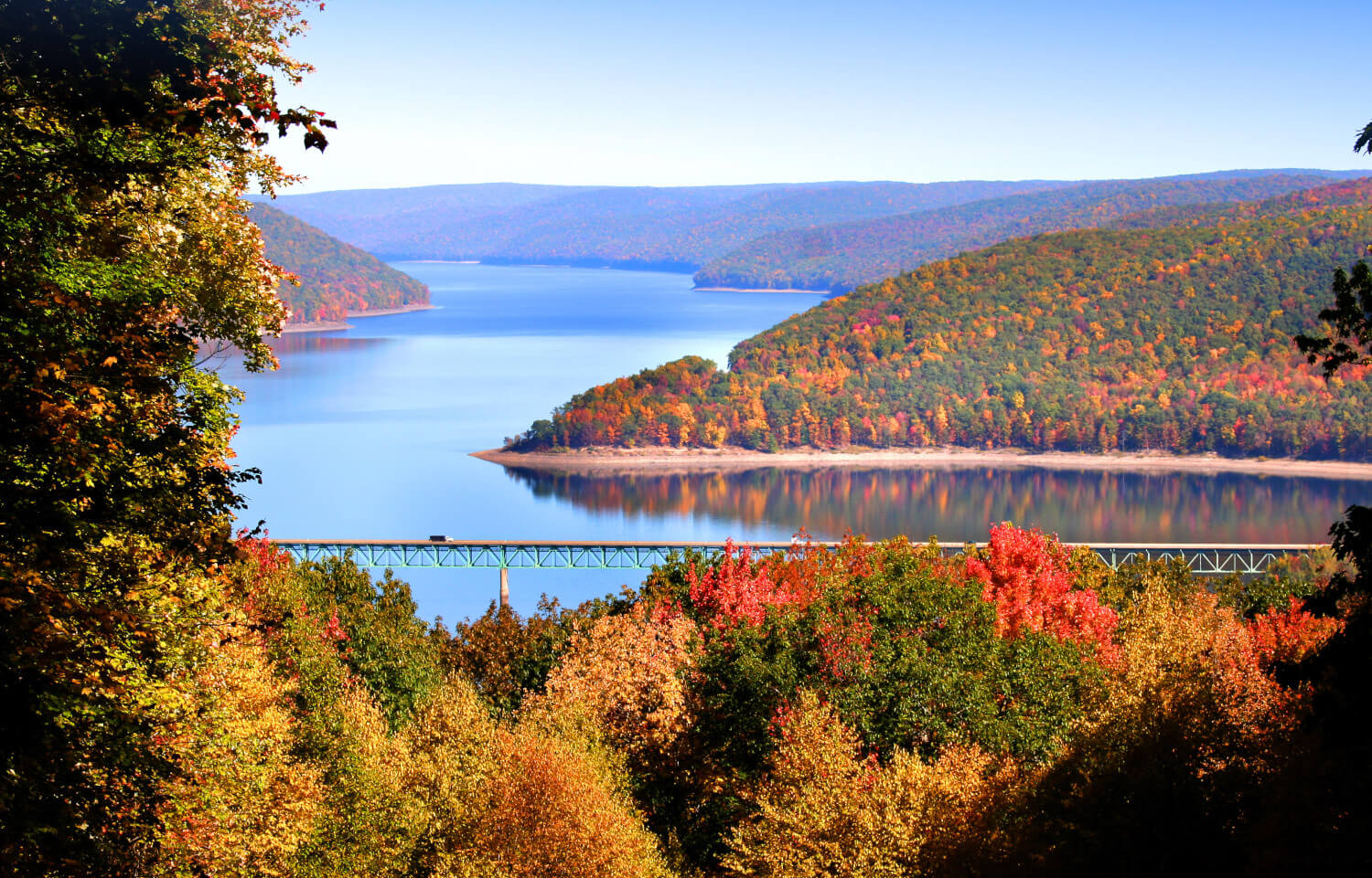 Why Managing Your Pennsylvania Forest Matters(03)
