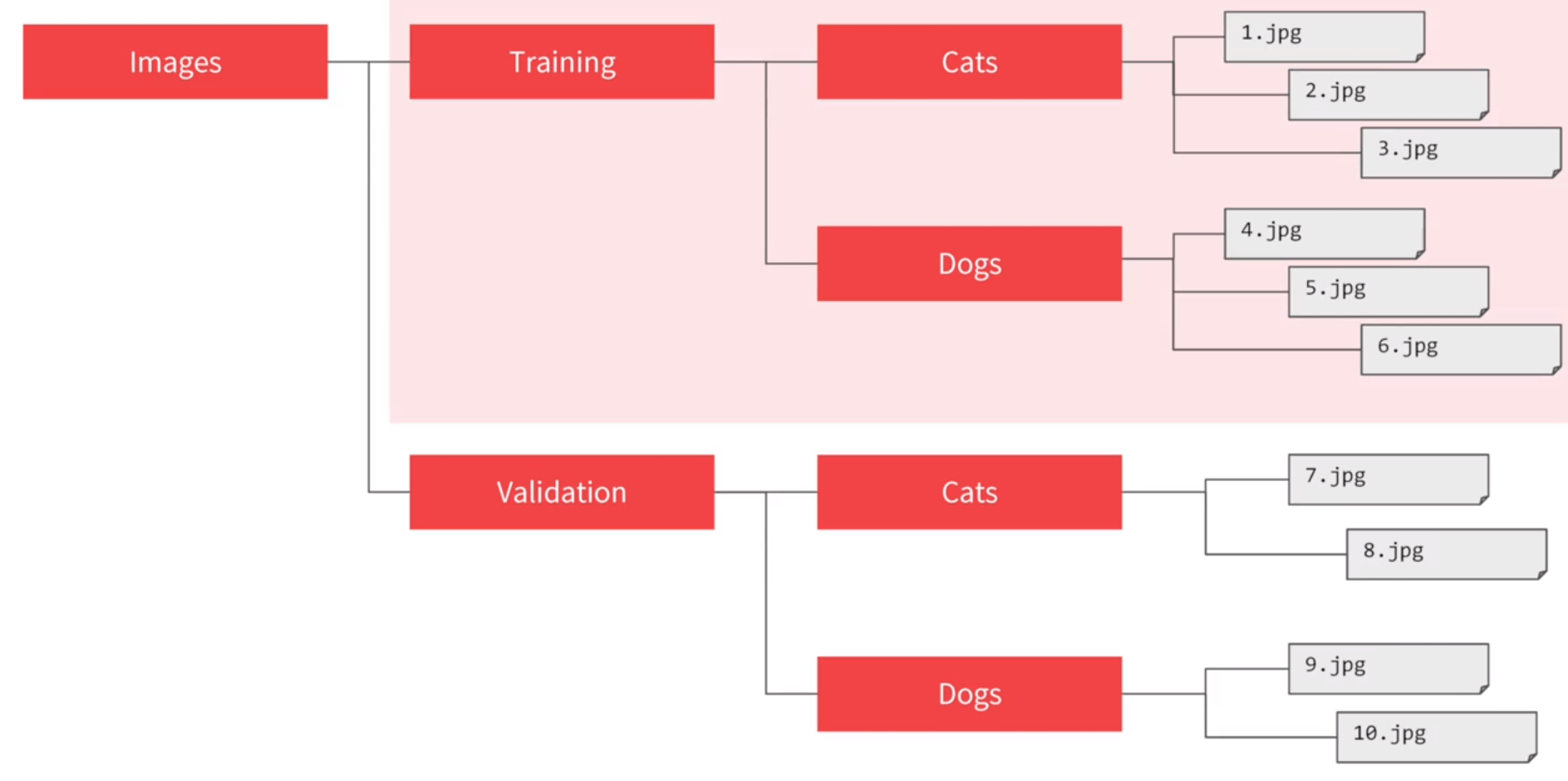 Training with the cats vs. dogs dataset deeplearning