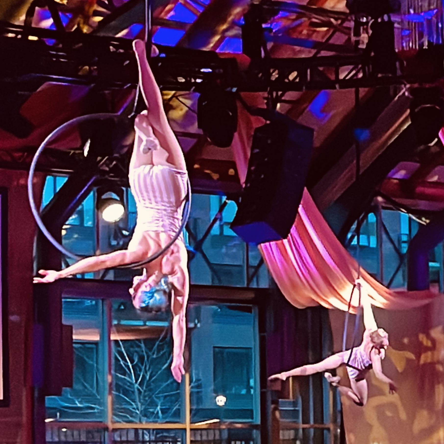 Entertainment for Hire Stomping Ground Studio Aerial Arts Classes in