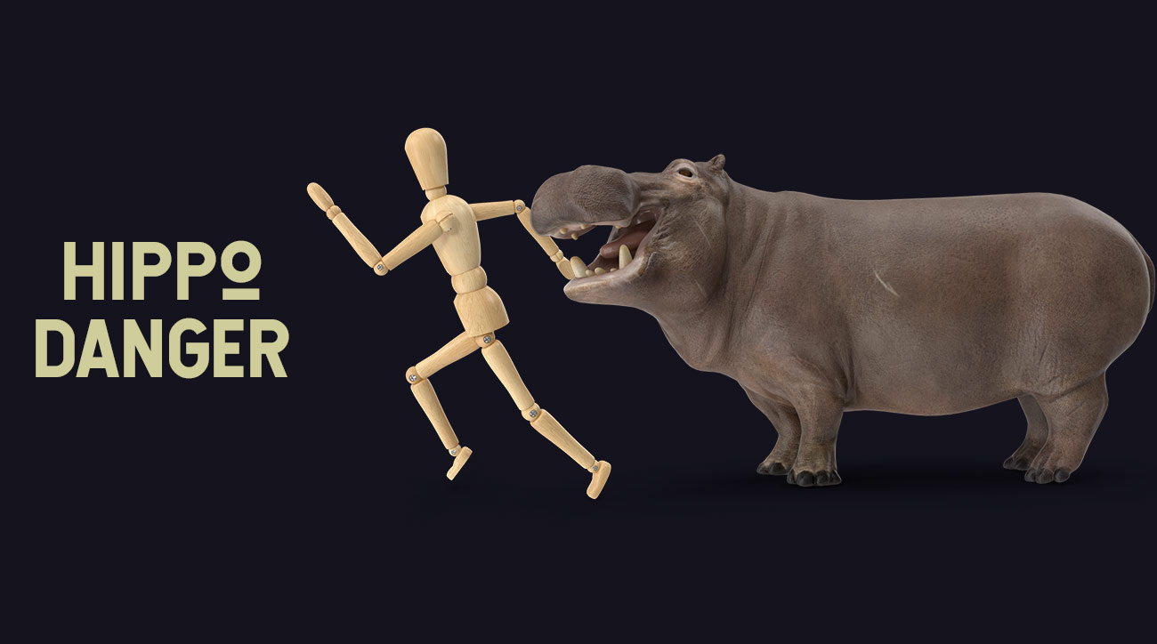 How to Survive a Hippo Attack DANGEROUS HIPPO BASICS