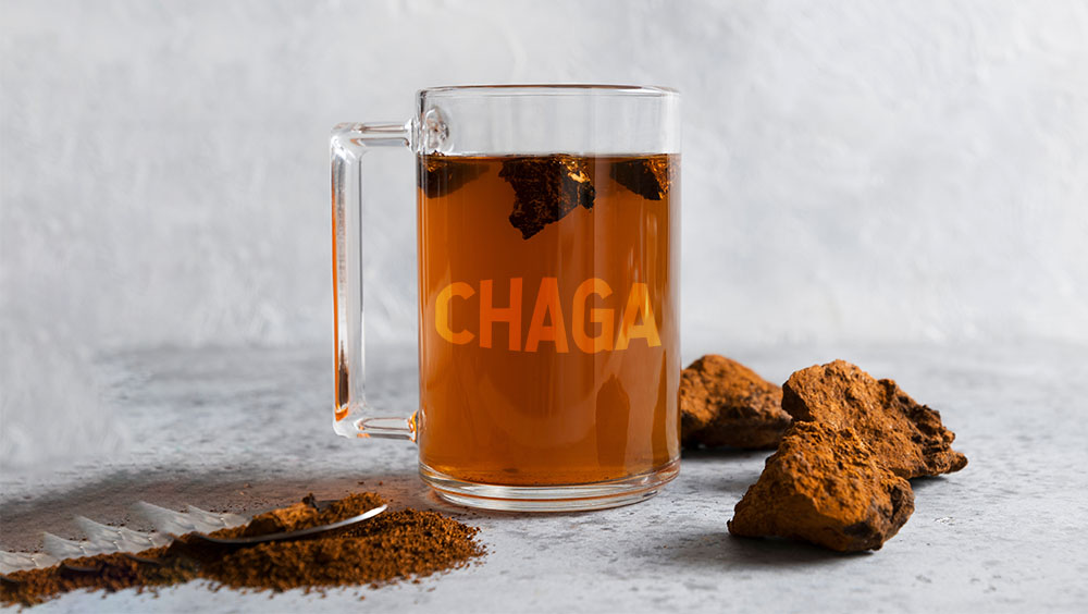 CHAGA MUSHROOM HOW TO USE IT (BENEFITS AND RISKS) Stone Age Man